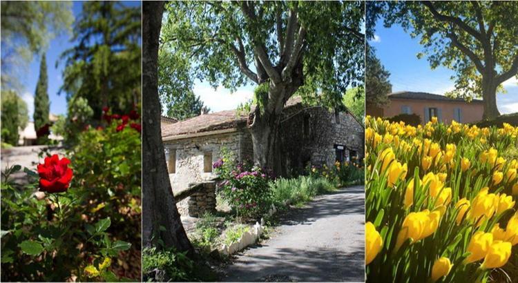 Le Hameau De L'Etoile Hotell Saint-Martin-de-Londres Exteriör bild